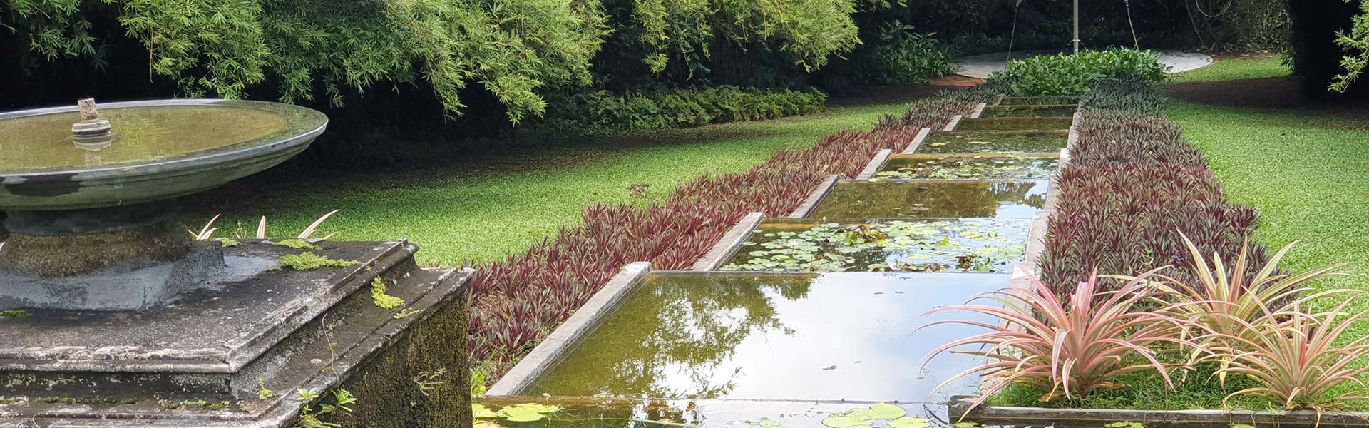 Brief Gardens Bevis Bawa