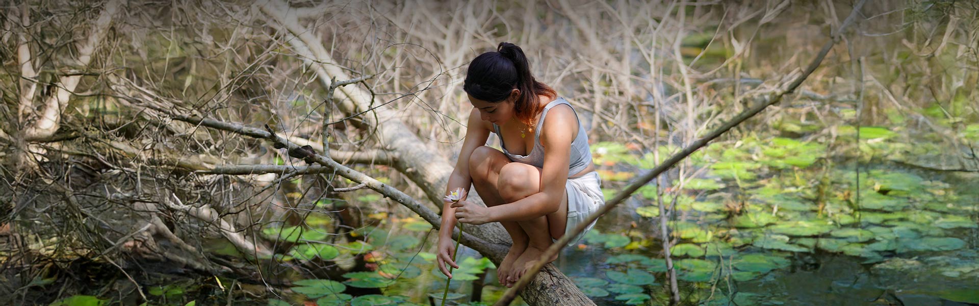 Advance Booking Savings