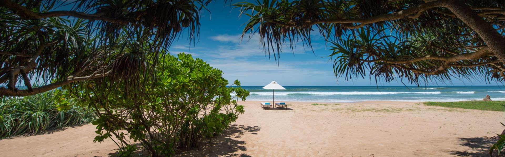 hotel sustainability initiatives