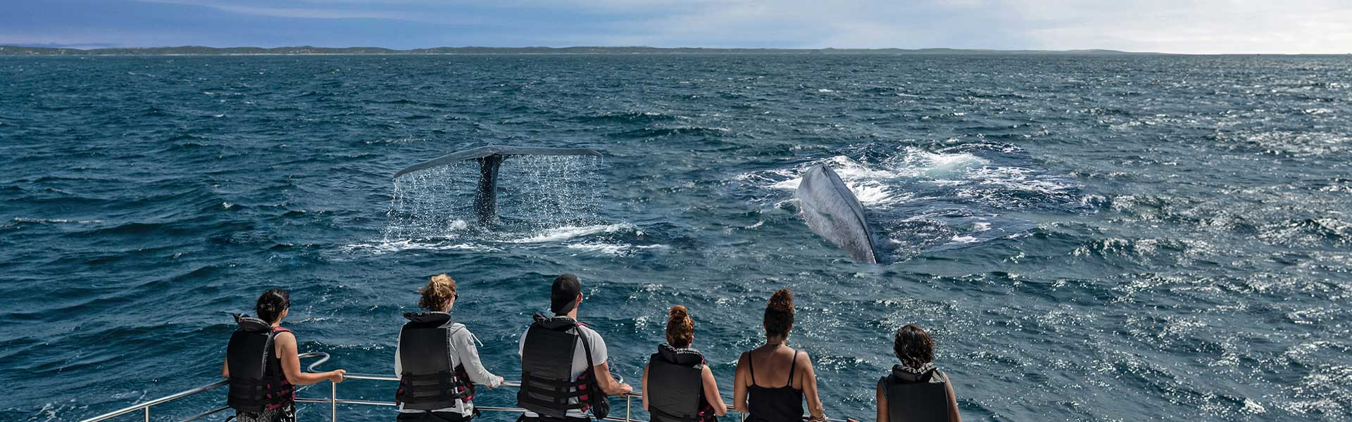 Top Attractions for Families in Sri Lanka