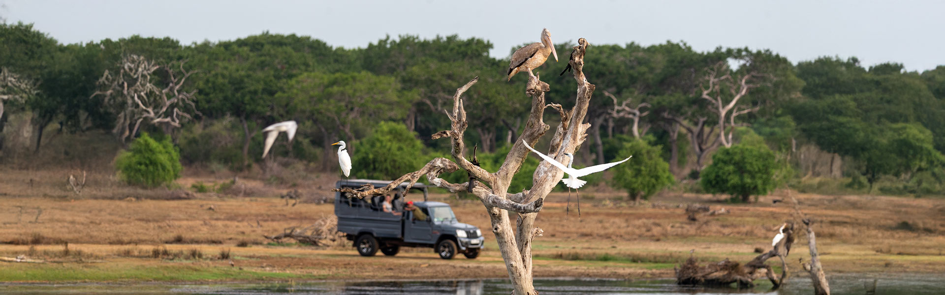 Bundala National Park